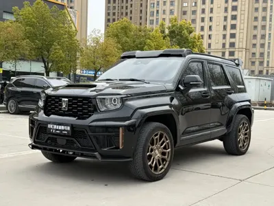 Tank Tank 700 New Energy · 2024 год