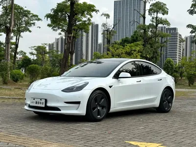 Tesla Model 3 · 2021 год