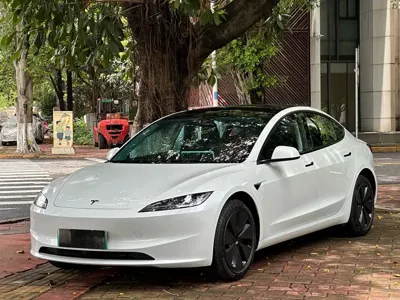 Tesla Model 3 · 2026 год