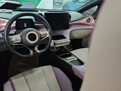 BYD Dolphin 2022, 52400 км, за 56000 CNY - фото 12