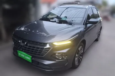 Wuling Victory · 2020 год