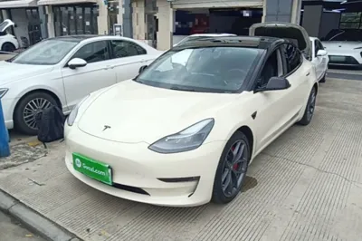 Tesla Model 3 · 2021 год