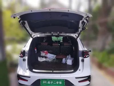 BYD Tang New Energy 2021, 58000 км, за 77700 CNY - фото 15