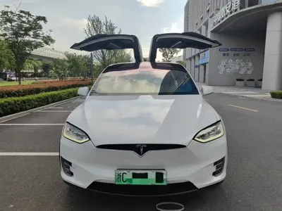Tesla Model X · 2018 год