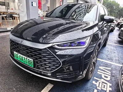 BYD Tang New Energy · 2024 год
