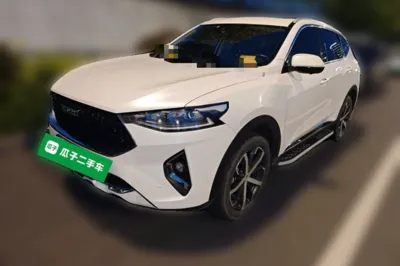 Haval F7 · 2019 год