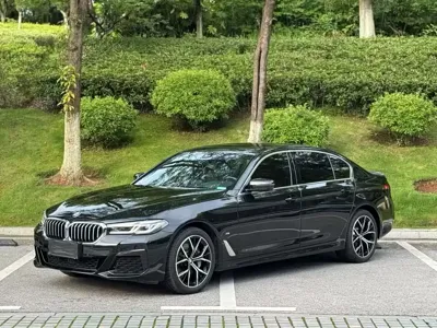 BMW 5 Series · 2022 год