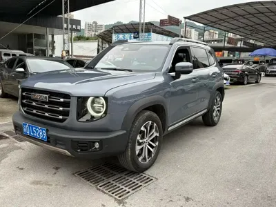 Haval Big Dog 2021, 54000 км, за 61800 CNY - фото 1