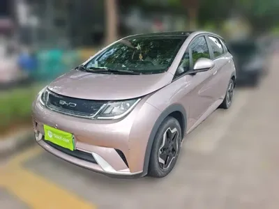 BYD Dolphin · 2022 год