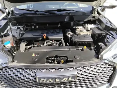 Haval H6 2022, 113300 км, за 49900 CNY - фото 11