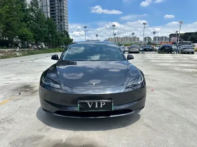 Tesla Model 3 · 2025 год