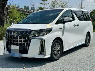 Toyota Alphard · 2023 год
