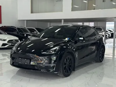 Tesla Model Y · 2022 год
