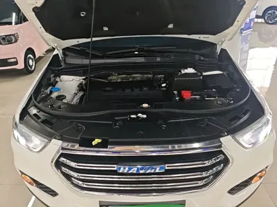 Haval H6 2018, 66900 км, за 31600 CNY - фото 20