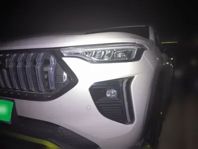 Haval LHERY · 2021 год
