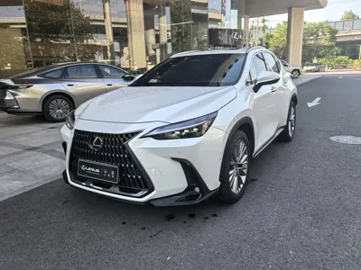 Lexus NX New Energy · 2023 год