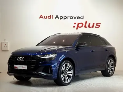 Audi Q8 · 2023 год