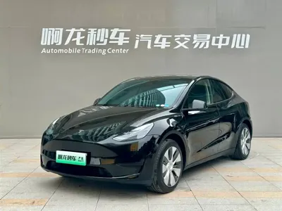 Tesla Model Y · 2022 год