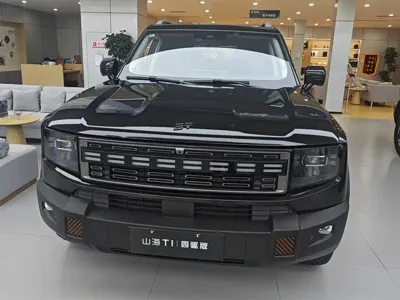Shanhai Shanhai T1 2026, 100 км, за 150000 CNY