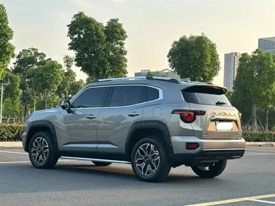 Haval 哈弗大狗 PLUS 新能源 2023, 29000 км, за 99800 CNY - фото 6