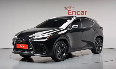 Lexus NX · 2025 год