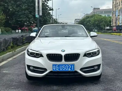 BMW 2 Series (Import) · 2020 год