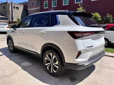 Wuling Xingchen 2022, 4800 км, за 74800 CNY - фото 9