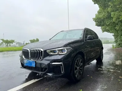 BMW X5 · 2023 год