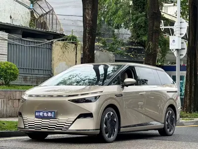 Xpeng X9 · 2024 год