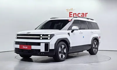 Hyundai Santafe · 2024 год