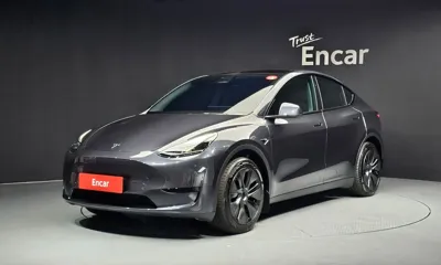 Tesla Model Y · 2024 год
