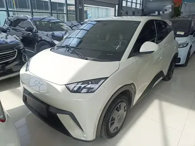 BYD Seagull · 2024 год