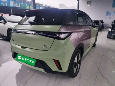 BYD Dolphin 2023, 36700 км, за 59500 CNY - фото 7