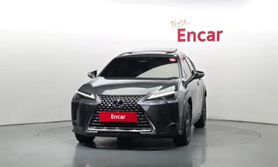 Lexus UX 2025, 17246 км, за 43400000 KRW