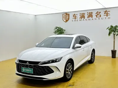 BYD Qin L · 2024 год