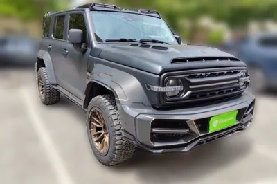 Tank 300 2021, 54100 км, за 159759.08 CNY