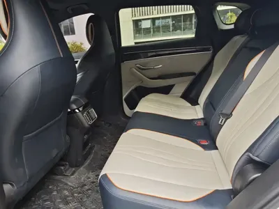 BYD PLUS New Energy 2022, 29000 км, за 75000 CNY - фото 6