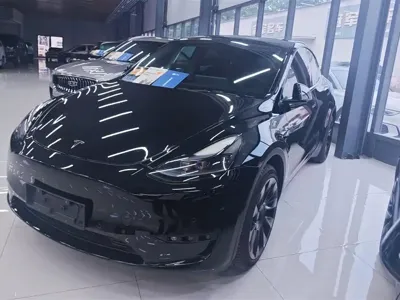 Tesla Model Y · 2023 год