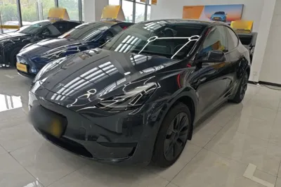 Tesla Model Y · 2024 год