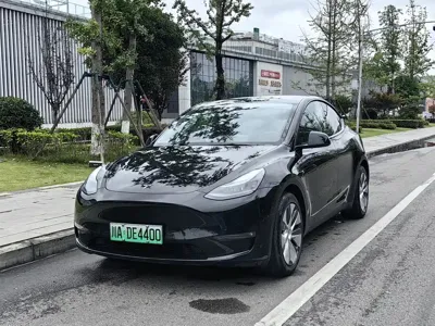 Tesla Model Y · 2022 год