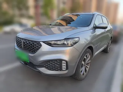 WEY VV6 · 2020 год