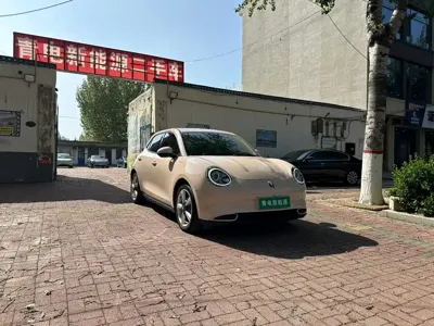 ORA Ora Good Cat 2022, 50000 км, за 56800 CNY