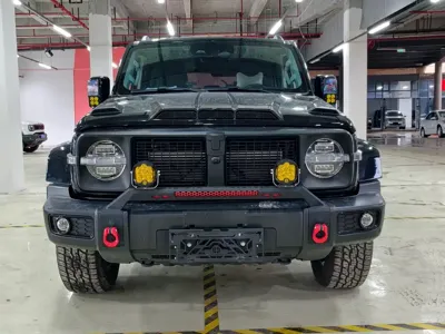 Tank Tank 300 2024, 38000 км, за 159000 CNY