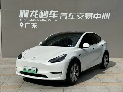 Tesla Model Y · 2023 год