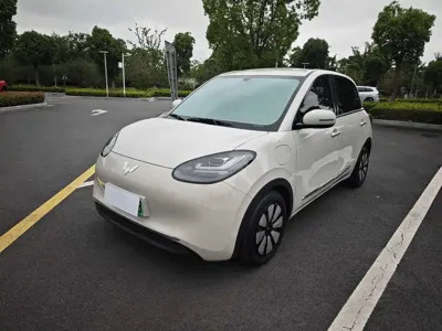 Wuling Bingo · 2024 год