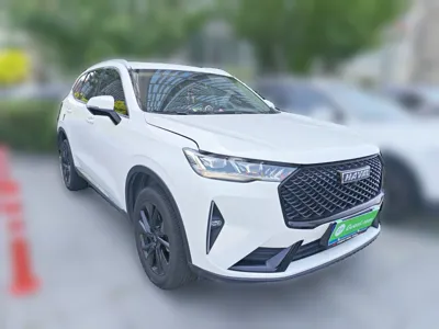 Haval H6 2021, 54300 км, за 76042.08 CNY