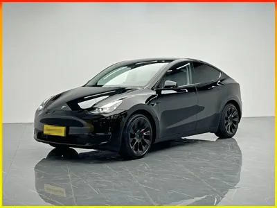 Tesla Model Y · 2021 год