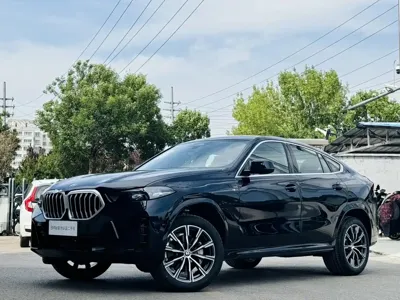 BMW X6 · 0 год