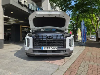 Hyundai Palisade 2024, 31500 км, за 26160000 KRW - фото 6