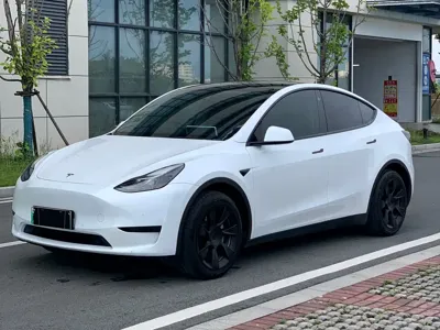 Tesla Model Y · 2023 год